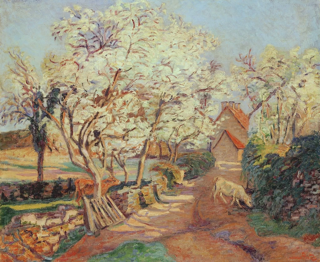 Prugne in fiore